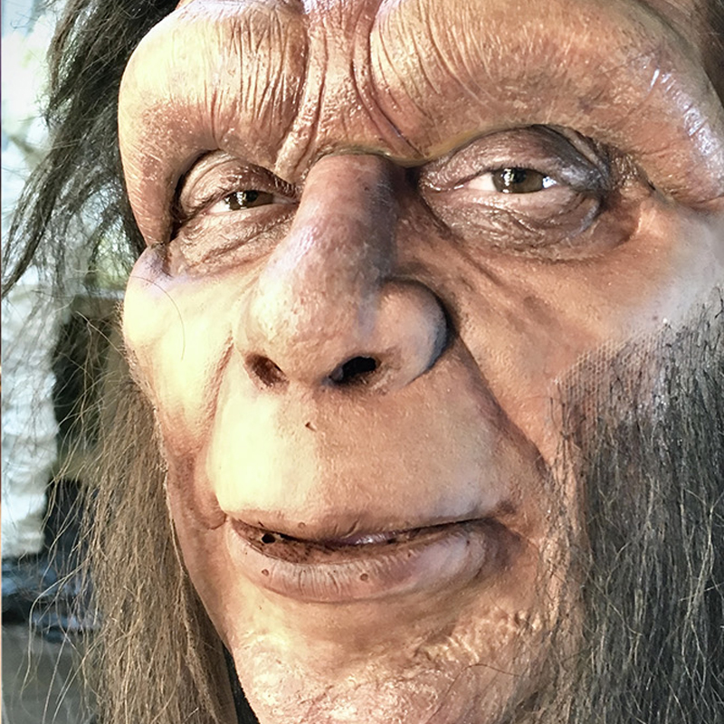 mutazionistudio corsi scimmia mutazionistudio corsi scimmia